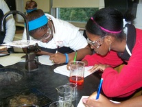 St. Peter Chanel High School